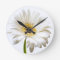 Close up of Gerbera flower head