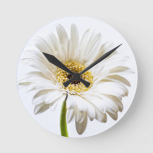 Close up of Gerbera flower head Round Clock