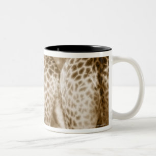 Close-Up of Giraffes Kruger National Park South Two-Tone Coffee Mug