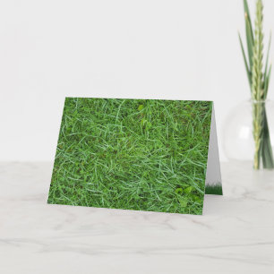 close up of green grass card