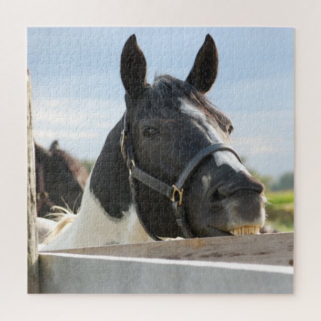Close up of Horse Chewing Fence Jigsaw Puzzle (Vertical)