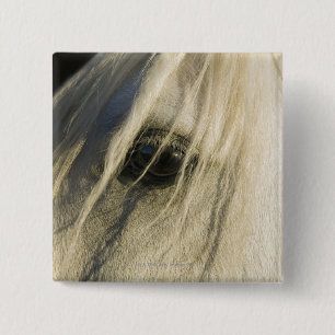 Close-up of Horse eye 15 Cm Square Badge