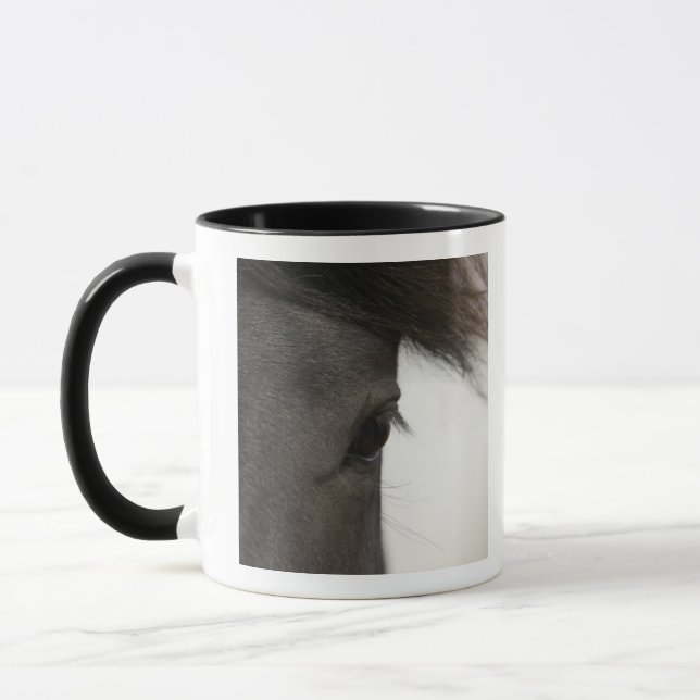 Close-up of  horse eye and hair mug (Left)