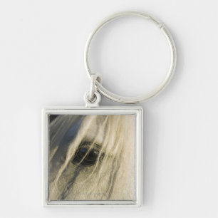 Close-up of Horse eye Key Ring