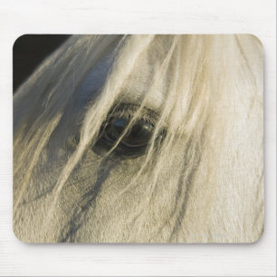 Close-up of Horse eye Mouse Mat