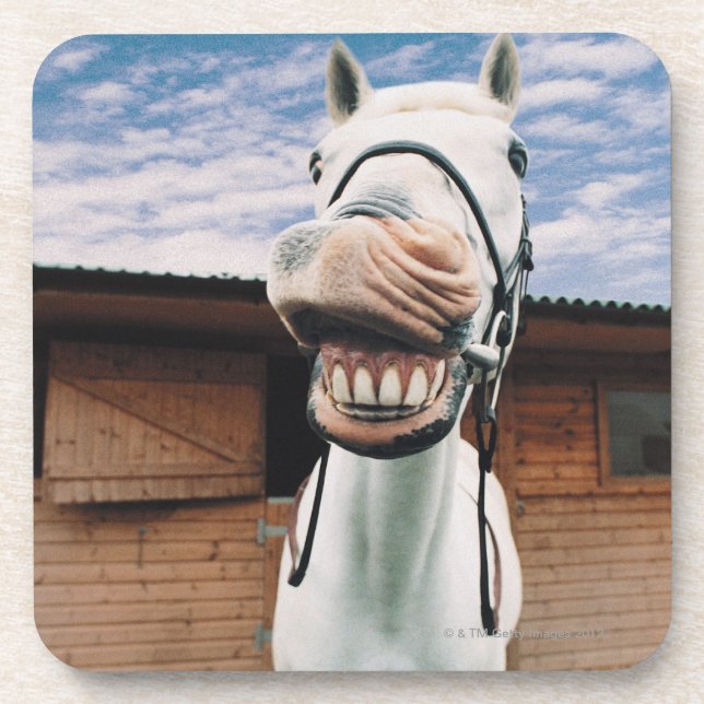 Close-up of Horse with Mouth Open Coaster (Front)