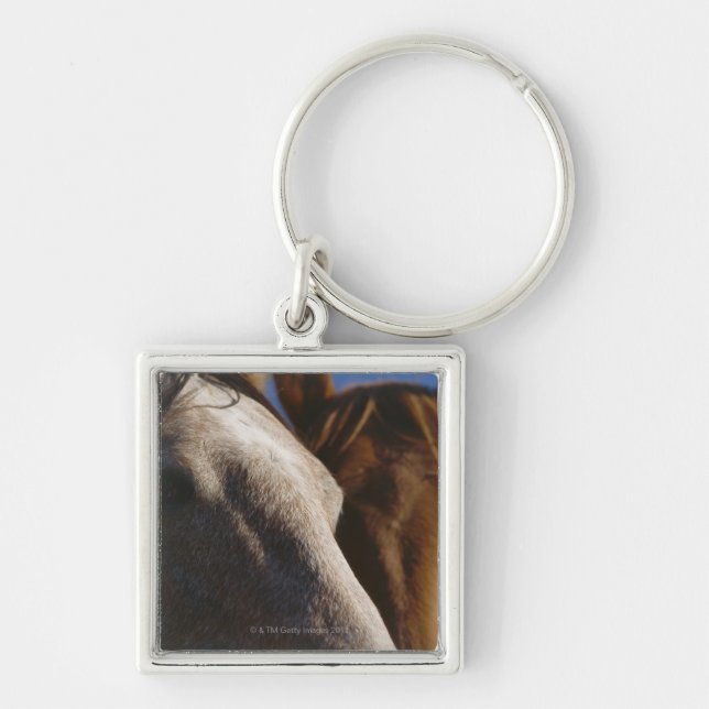 Close Up of Horses Key Ring (Front)