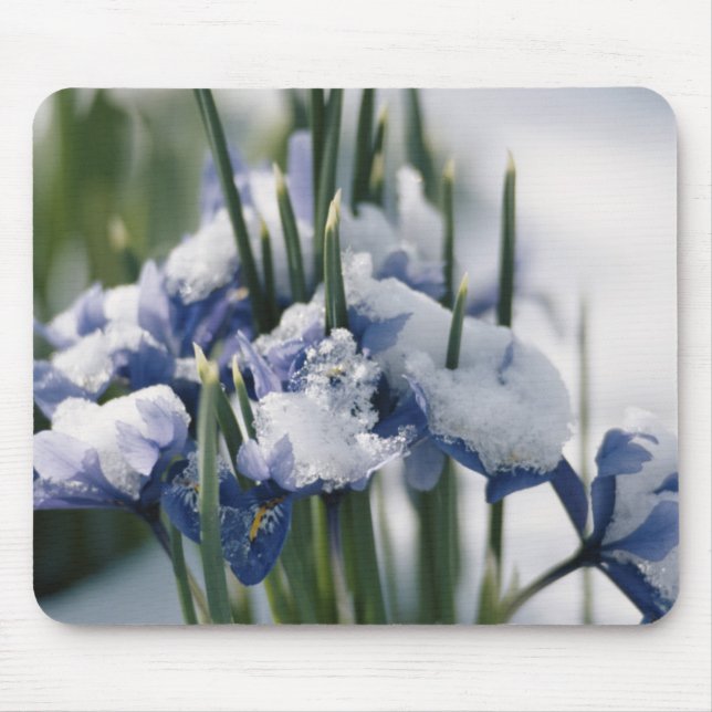 Close-up of Iris Mouse Mat (Front)