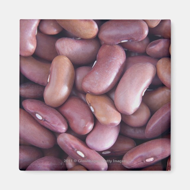 Close-up of kidney beans magnet (Front)