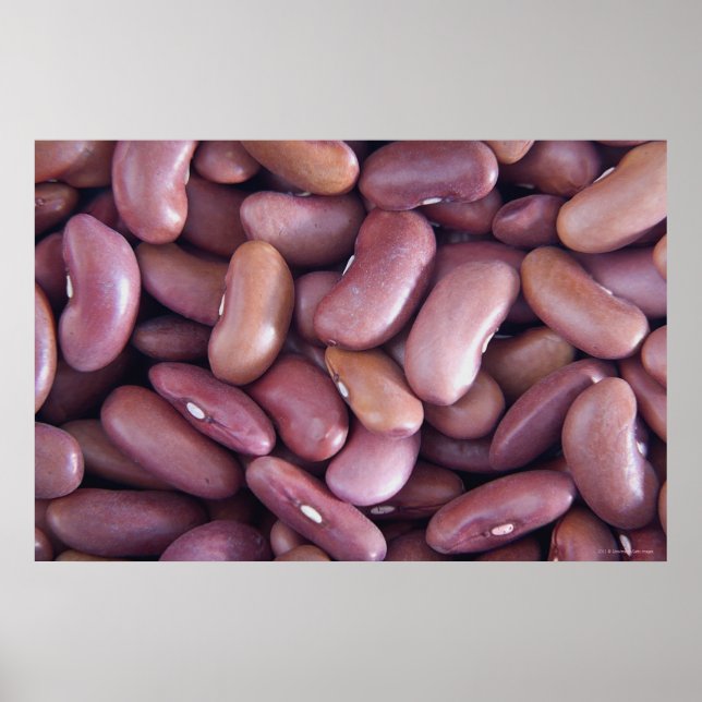 Close-up of kidney beans poster (Front)