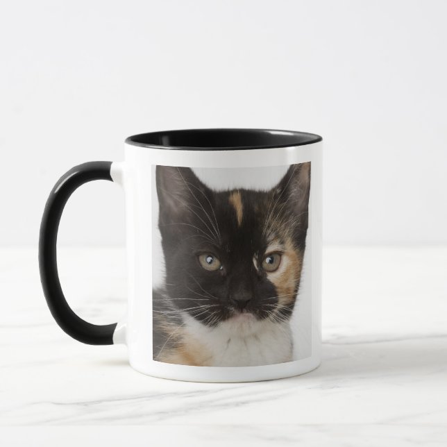 Close up of kitten mug (Left)