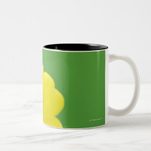 Close-Up of Ladybug Two-Tone Coffee Mug
