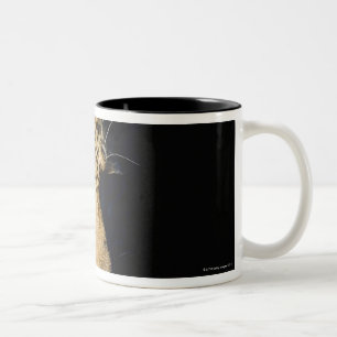 Close up of Leopard, Greater Kruger National Two-Tone Coffee Mug