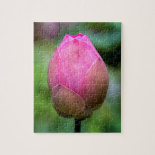 Close-up of lotus flower bud, Bali Jigsaw Puzzle
