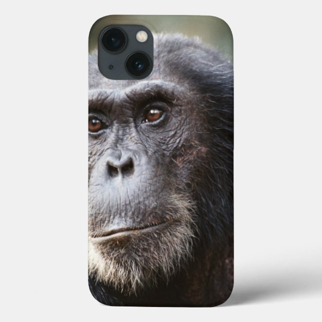 Close-up of male Chimpanzee Case-Mate iPhone Case (Back)