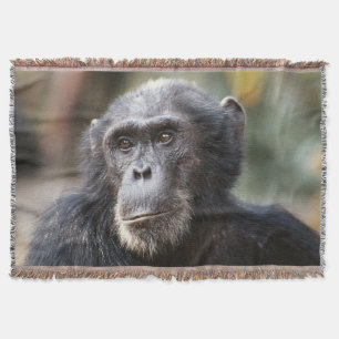 Close-up of male Chimpanzee Throw Blanket