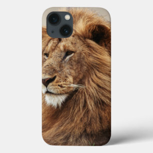 Close-up of male Lion iPhone 13 Case