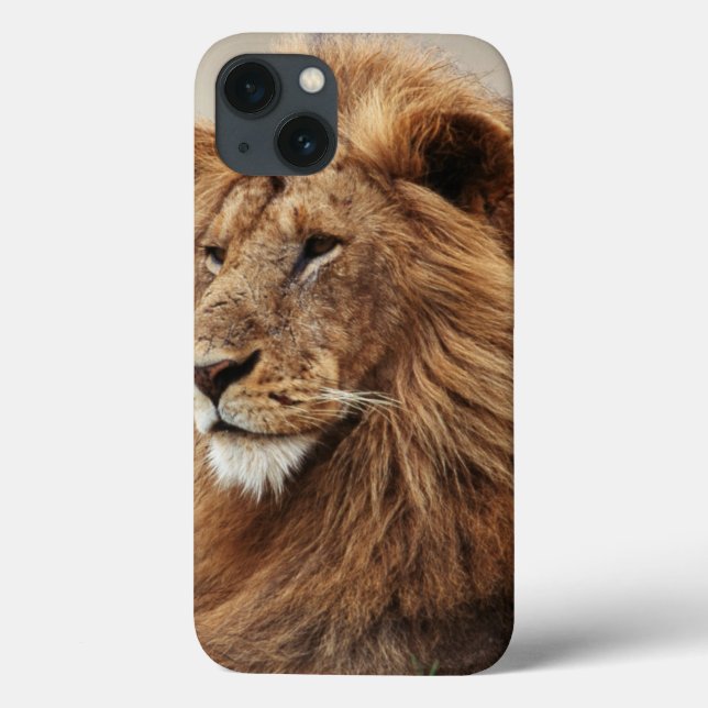 Close-up of male Lion Case-Mate iPhone Case (Back)