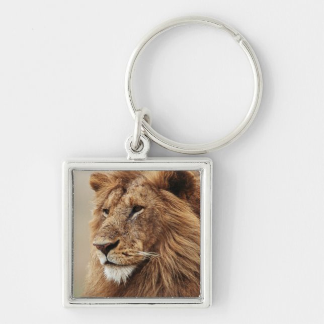 Close-up of male Lion Key Ring (Front)