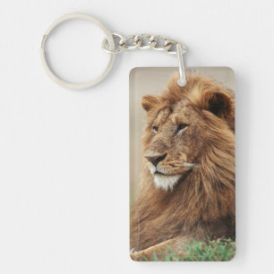 Close-up of male Lion Key Ring