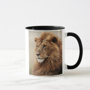 Close-up of male Lion Mug
