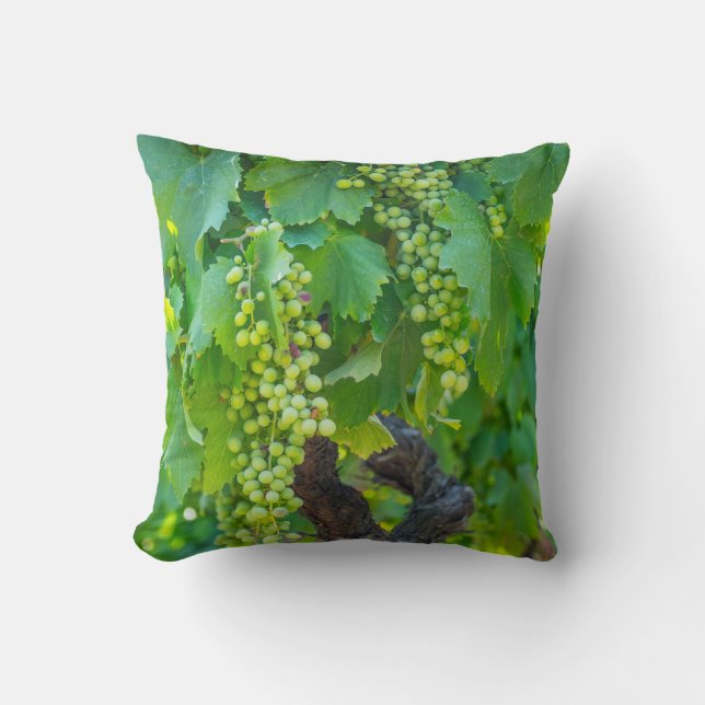 Close Up Of Maturing Grapes Cushion (Front)
