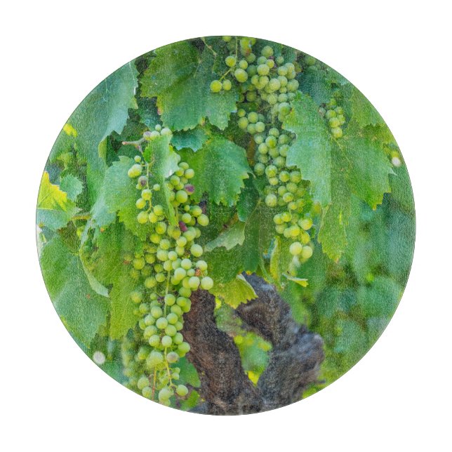 Close Up Of Maturing Grapes Cutting Board (Front)