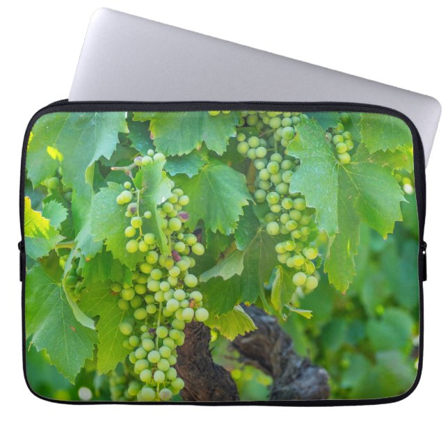 Close Up Of Maturing Grapes Laptop Sleeve (Front)