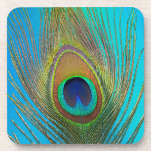Close up of peacock feather coaster