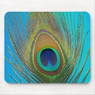 Close up of peacock feather mouse mat