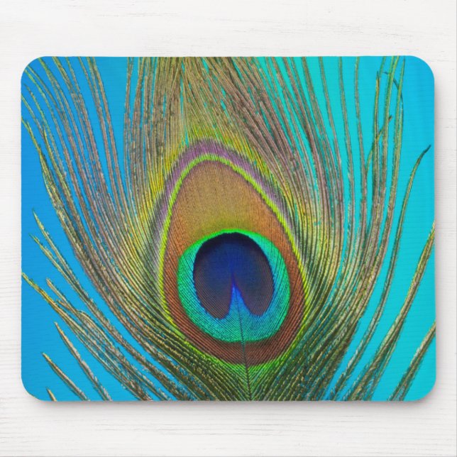 Close up of peacock feather mouse mat (Front)