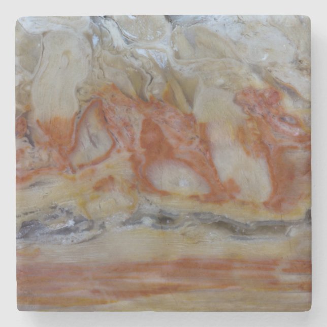 Close Up Of Petrified Wood Stone Coaster (Front)