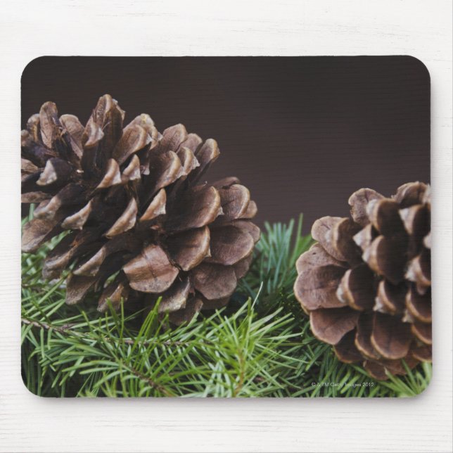 Close-up of pine cone mouse mat (Front)