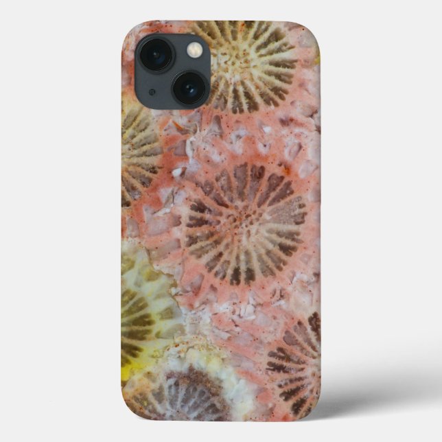 Close Up Of Pink Coral Case-Mate iPhone Case (Back)