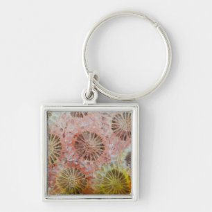 Close Up Of Pink Coral Key Ring