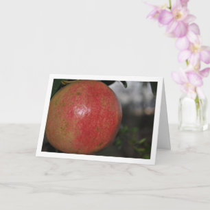 Close-up of Pomegranate Fruit on Tree Card