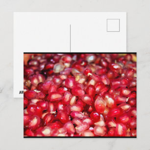 Close up of Pomegranate Seeds Postcard