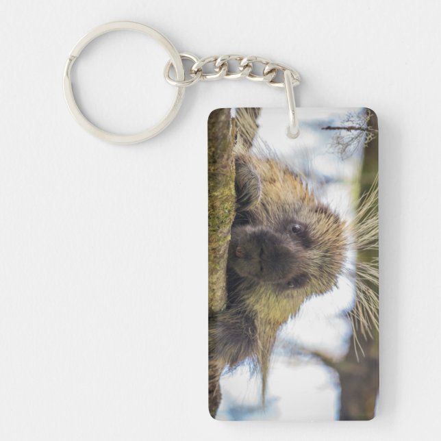 Close-up of porcupine in a tree key ring (Front)