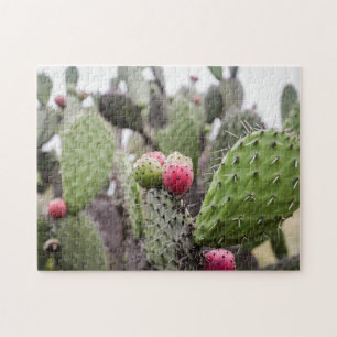 Close Up Of Prickly Pear Cactus Jigsaw Puzzle