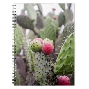 Close Up Of Prickly Pear Cactus Notebook