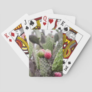 Close Up Of Prickly Pear Cactus Playing Cards