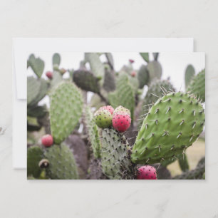 Close Up Of Prickly Pear Cactus Thank You Card