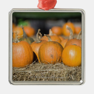 Close-up of pumpkins metal tree decoration