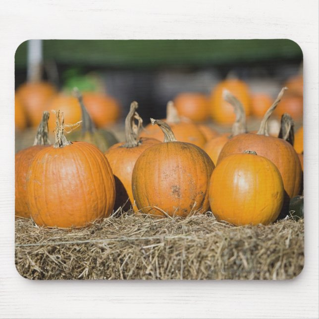 Close-up of pumpkins mouse mat (Front)
