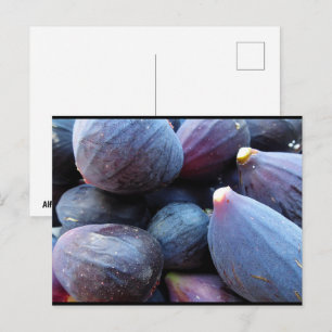 Close up of Purple Fig Fruit Postcard