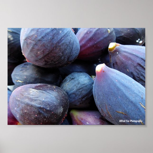 Close up of Purple Fig Fruit Poster (Front)