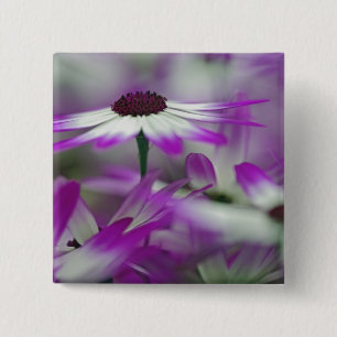 Close-up of purple flower, Keukenhof Garden, 15 Cm Square Badge