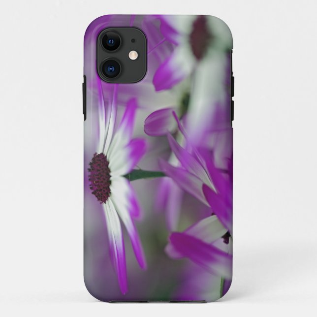 Close-up of purple flower, Keukenhof Garden, Case-Mate iPhone Case (Back)