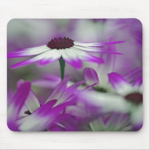 Close-up of purple flower, Keukenhof Garden, Mouse Mat