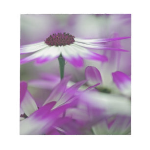 Close-up of purple flower, Keukenhof Garden, Notepad